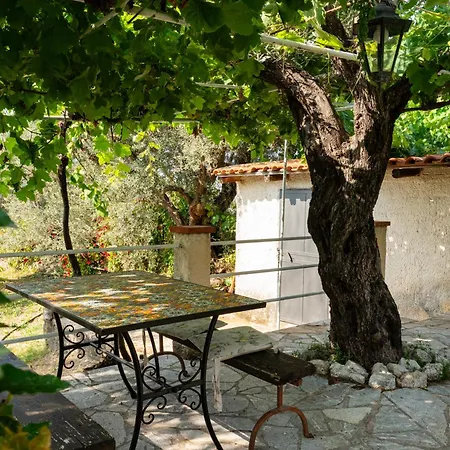 In Campagna Con Piscina San Fratello