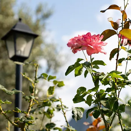 In Campagna Con Piscina *